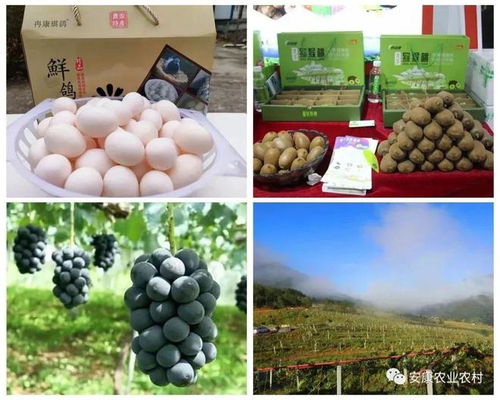 安康7個農(nóng)產(chǎn)品入選“全國名特優(yōu)新農(nóng)產(chǎn)品”名單